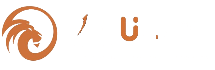 SetuBridge Solutions